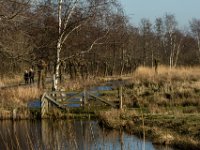 Alde Faenen
