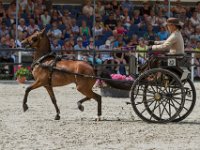 Concours Hippique Rijs : Algarve, Europa, Nederland, Portugal, Reisen, Rijs, concours, europa, friesland