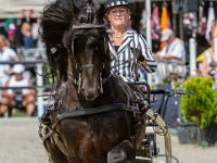 Concours Hippique Rijs : Algarve, Europa, Nederland, Portugal, Reisen, Rijs, concours, europa, friesland