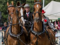 Concours Hippique Rijs : Algarve, Europa, Nederland, Portugal, Reisen, Rijs, concours, europa, friesland