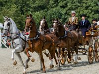 Concours Hippique Rijs : Algarve, Europa, Nederland, Portugal, Reisen, Rijs, concours, europa, friesland