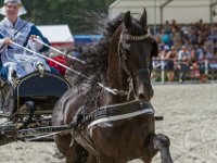 Concours Hippique Rijs : Algarve, Europa, Nederland, Portugal, Reisen, Rijs, concours, europa, friesland