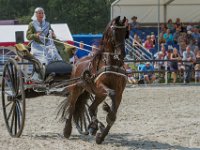 Concours Hippique Rijs : Algarve, Europa, Nederland, Portugal, Reisen, Rijs, concours, europa, friesland