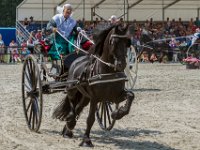 Concours Hippique Rijs : Algarve, Europa, Nederland, Portugal, Reisen, Rijs, concours, europa, friesland