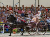 Concours Hippique Rijs : Algarve, Europa, Nederland, Portugal, Reisen, Rijs, concours, europa, friesland