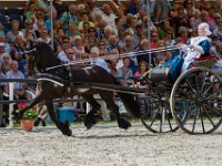 De 70e editie van Concours Hippique in Rijs