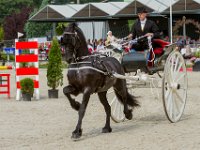 Concours Hippique Rijs : Algarve, Europa, Nederland, Portugal, Reisen, Rijs, concours, europa, friesland