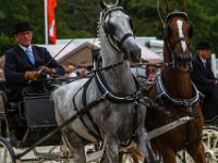 Concours Hippique Rijs : Algarve, Europa, Nederland, Portugal, Reisen, Rijs, concours, europa, friesland