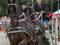 Concours Hippique Rijs : Algarve, Europa, Nederland, Portugal, Reisen, Rijs, concours, europa, friesland