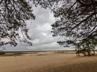 Loonse en Drunense Duinen : Europa, Loonse en Drunense duinen, Nederland, Nrd. Brabant, Reisen, nrd. Brabant