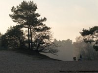 Loonse en Drunense Duinen : Europa, Loonse en Drunense duinen, Nederland, Nrd. Brabant, Reisen, nrd. Brabant