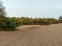 Loonse en Drunense Duinen : Europa, Loonse en Drunense duinen, Nederland, Nrd. Brabant, Reisen, nrd. Brabant