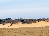 Loonse en Drunense Duinen : Europa, Loonse en Drunense duinen, Nederland, Nrd. Brabant, Reisen, nrd. Brabant