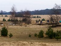 Loonse en Drunense Duinen : Europa, Loonse en Drunense duinen, Nederland, Nrd. Brabant, Reisen, nrd. Brabant