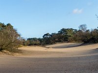 Loonse en Drunense Duinen : Europa, Loonse en Drunense duinen, Nederland, Nrd. Brabant, Reisen, nrd. Brabant