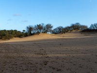Loonse en Drunense Duinen : Europa, Loonse en Drunense duinen, Nederland, Nrd. Brabant, Reisen, nrd. Brabant