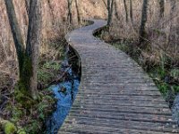 Boardwalk : Europa, Moerputten, Nederland, Nrd. Brabant, Reisen