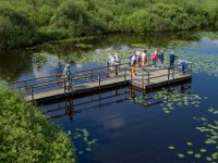 Platform : Algarve, Europa, Groei en Bloei, Moerputten, Nederland, Nrd. Brabant, Portugal, Reisen, Wandeling