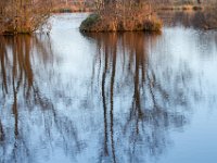 Weerspiegeling in de morgenzon