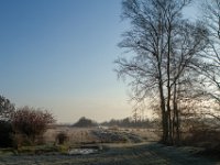 Ochtendstemming