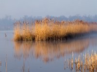 Ochtendstemming