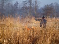 Verbranding van afval van riet