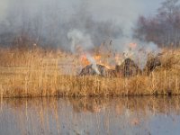 Verbranding van afval van riet