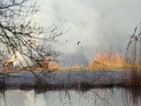 Verbranding van afval van riet