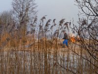 Verbranding van afval van riet