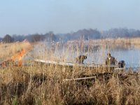 Verbranding van afval van riet