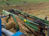 Riet schoven maken