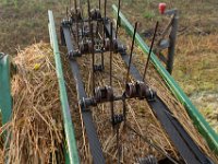 Riet schoven maken