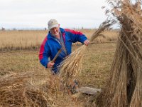 Schoonmaken van onderkant van het riet