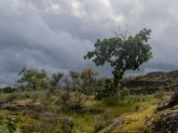 Dreigende wolken : Europa, Portugal, Reisen, europa
