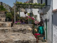 achtertuin : Alentejo, Algarve, Europa, Marvau, Portugal, Reisen, europa